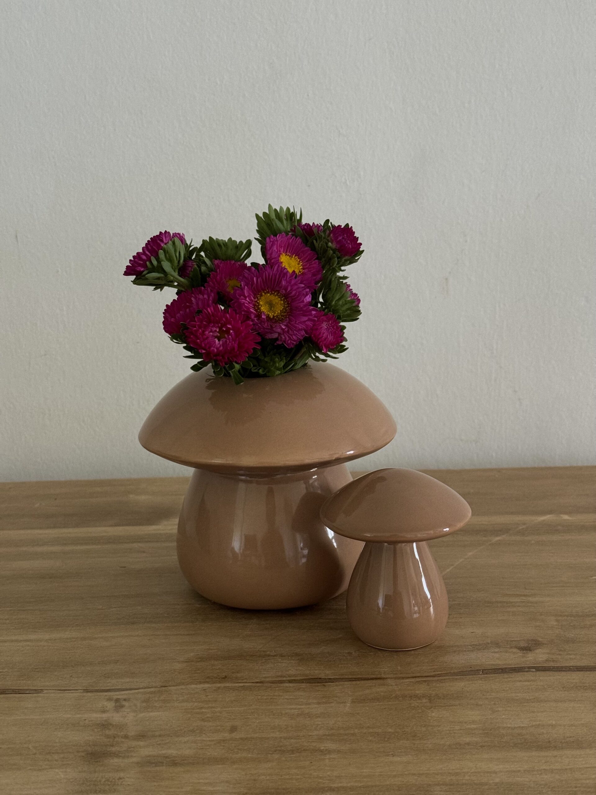 Maceta Fungi-Dúo (3 variaciones de colores) - Image 7