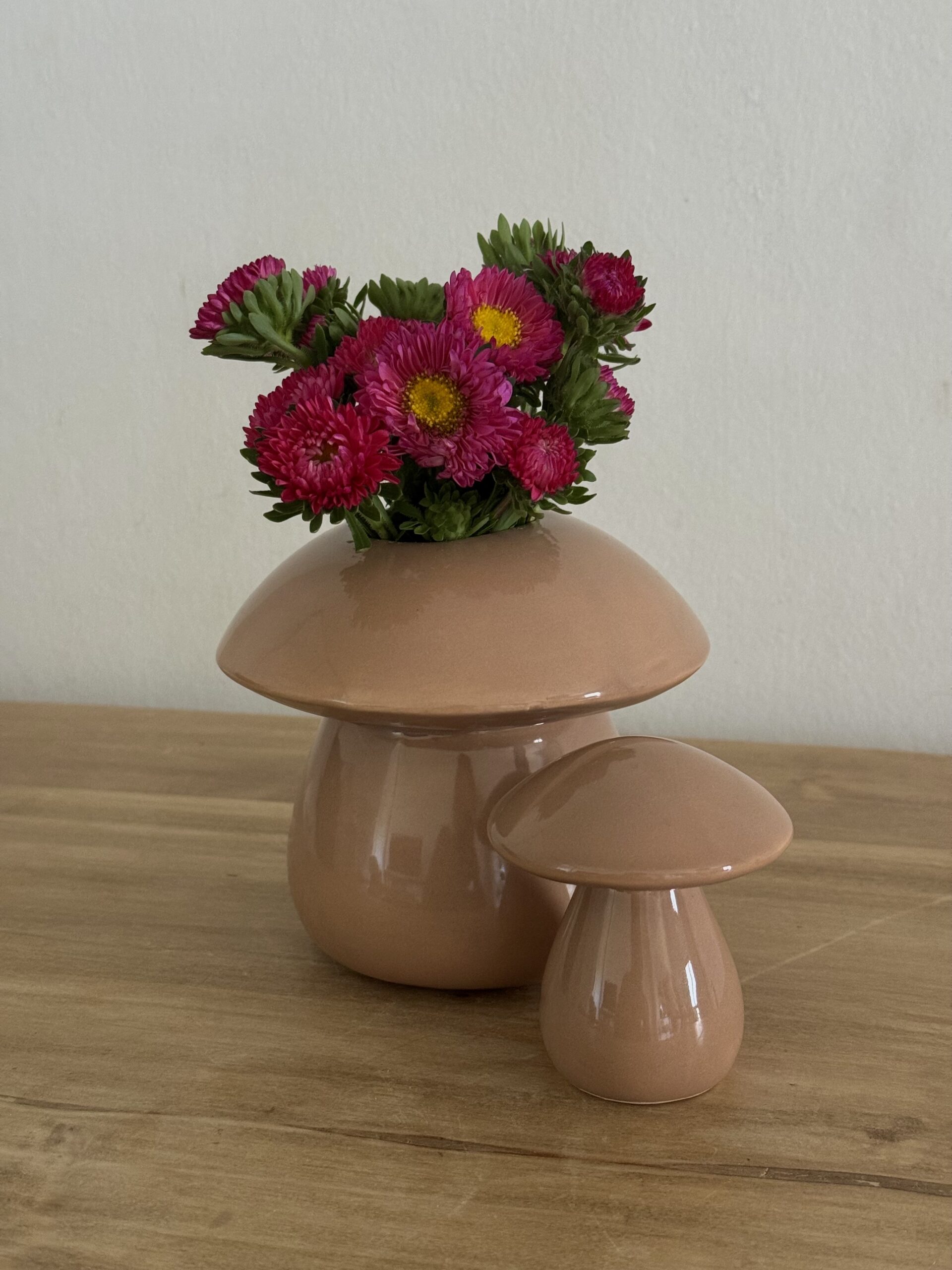 Maceta Fungi-Dúo (3 variaciones de colores) - Image 8