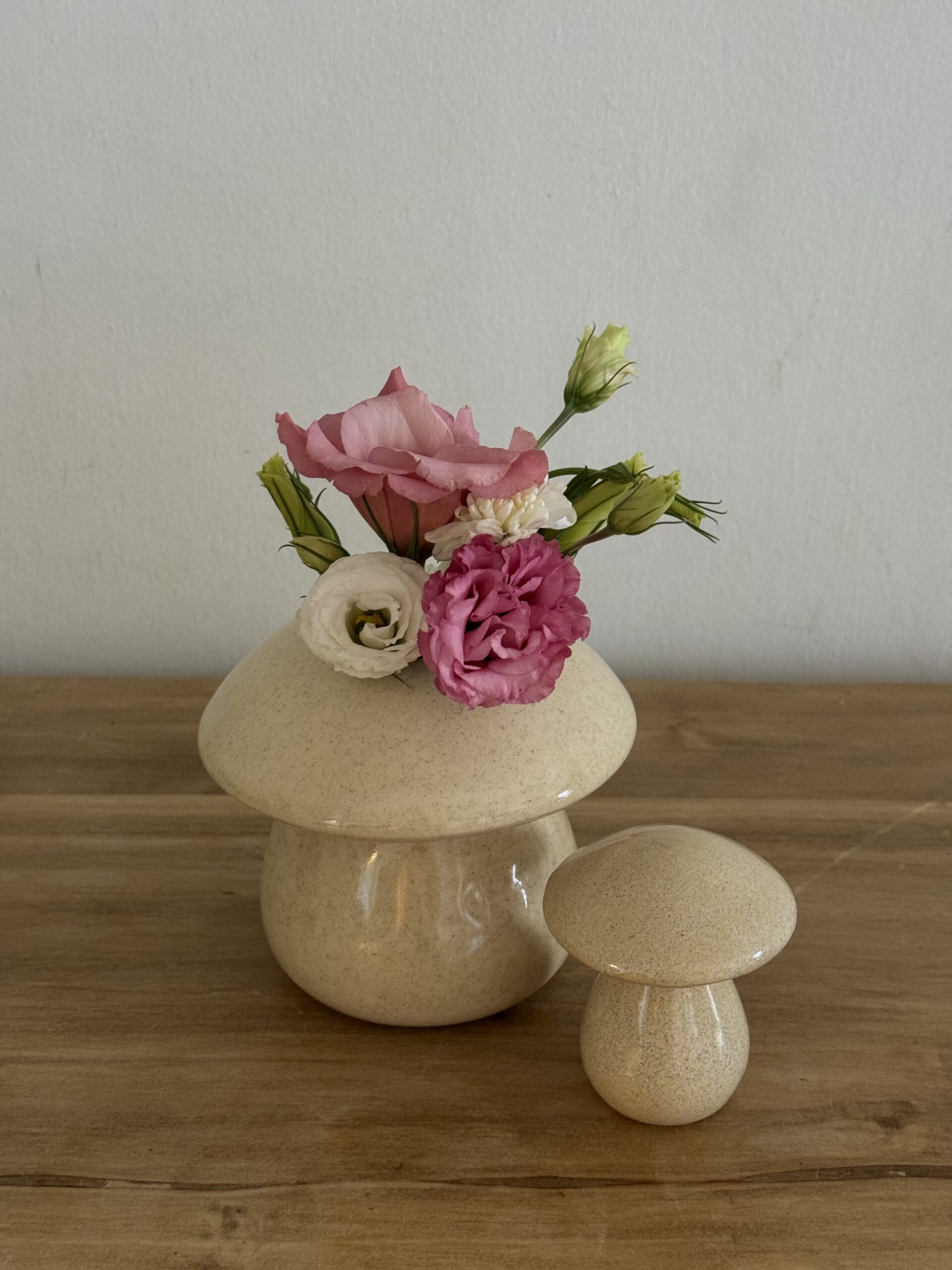 Maceta Fungi-Dúo (3 variaciones de colores) - Image 6