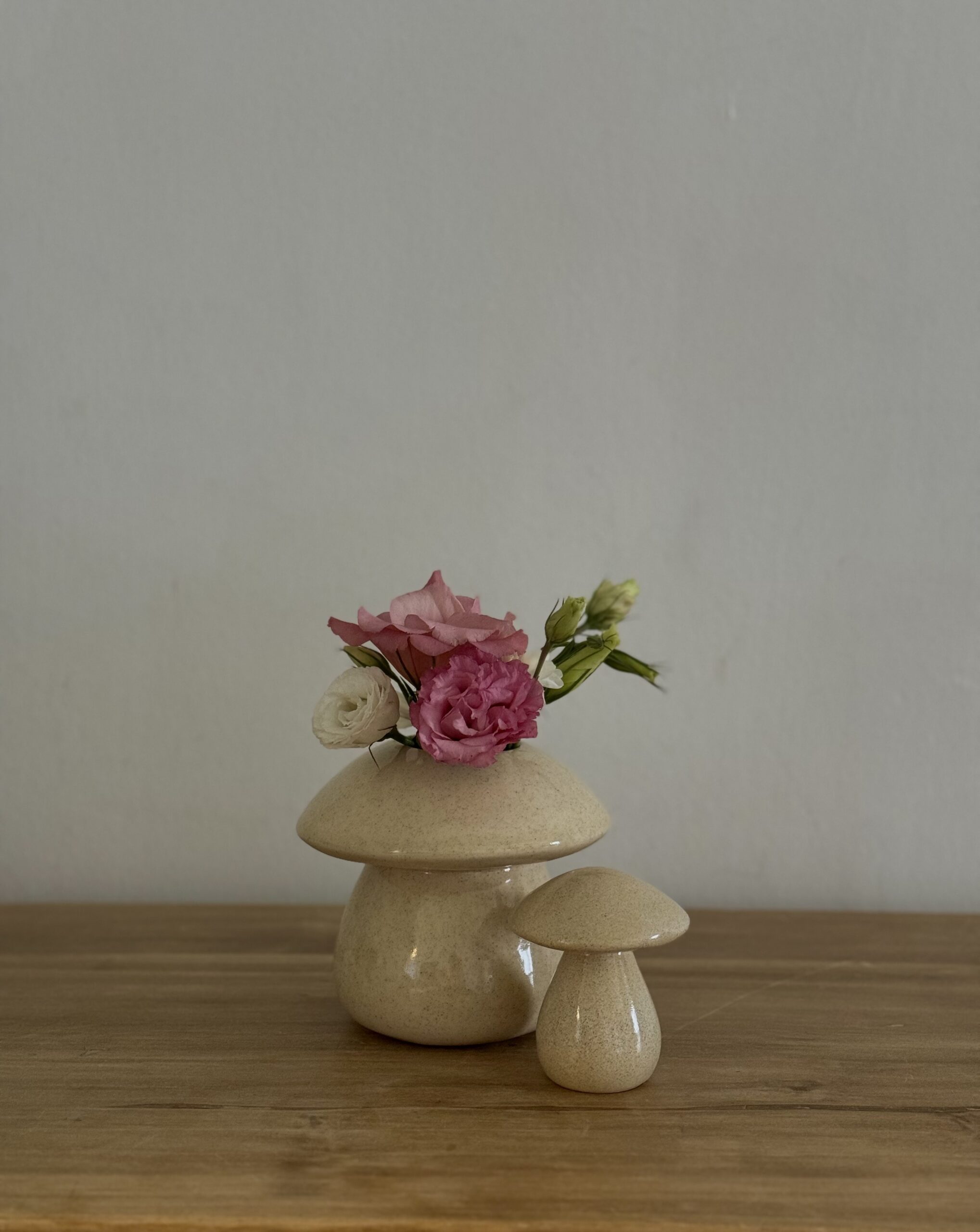 Maceta Fungi-Dúo (3 variaciones de colores) - Image 5