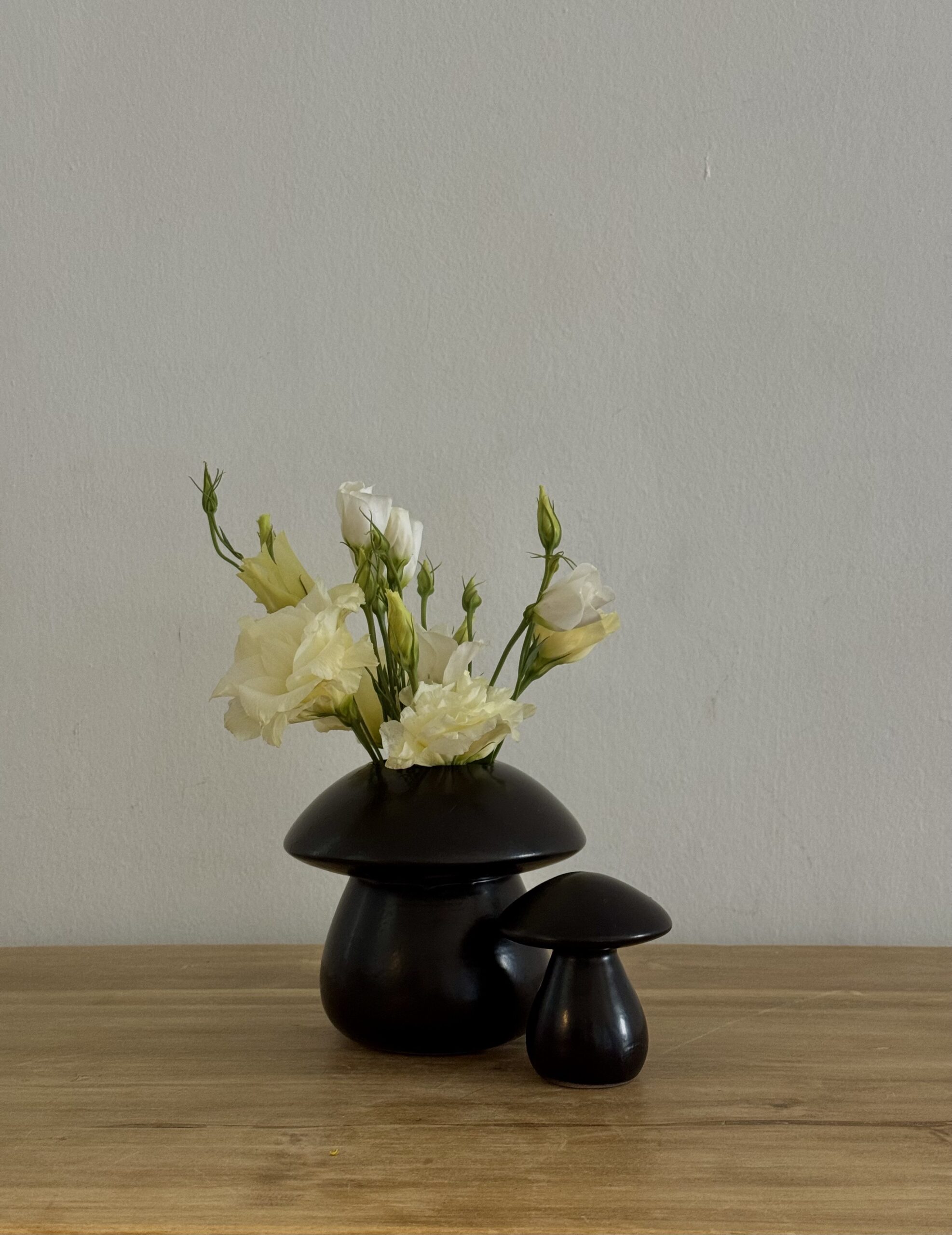 Maceta Fungi-Dúo (3 variaciones de colores) - Image 3