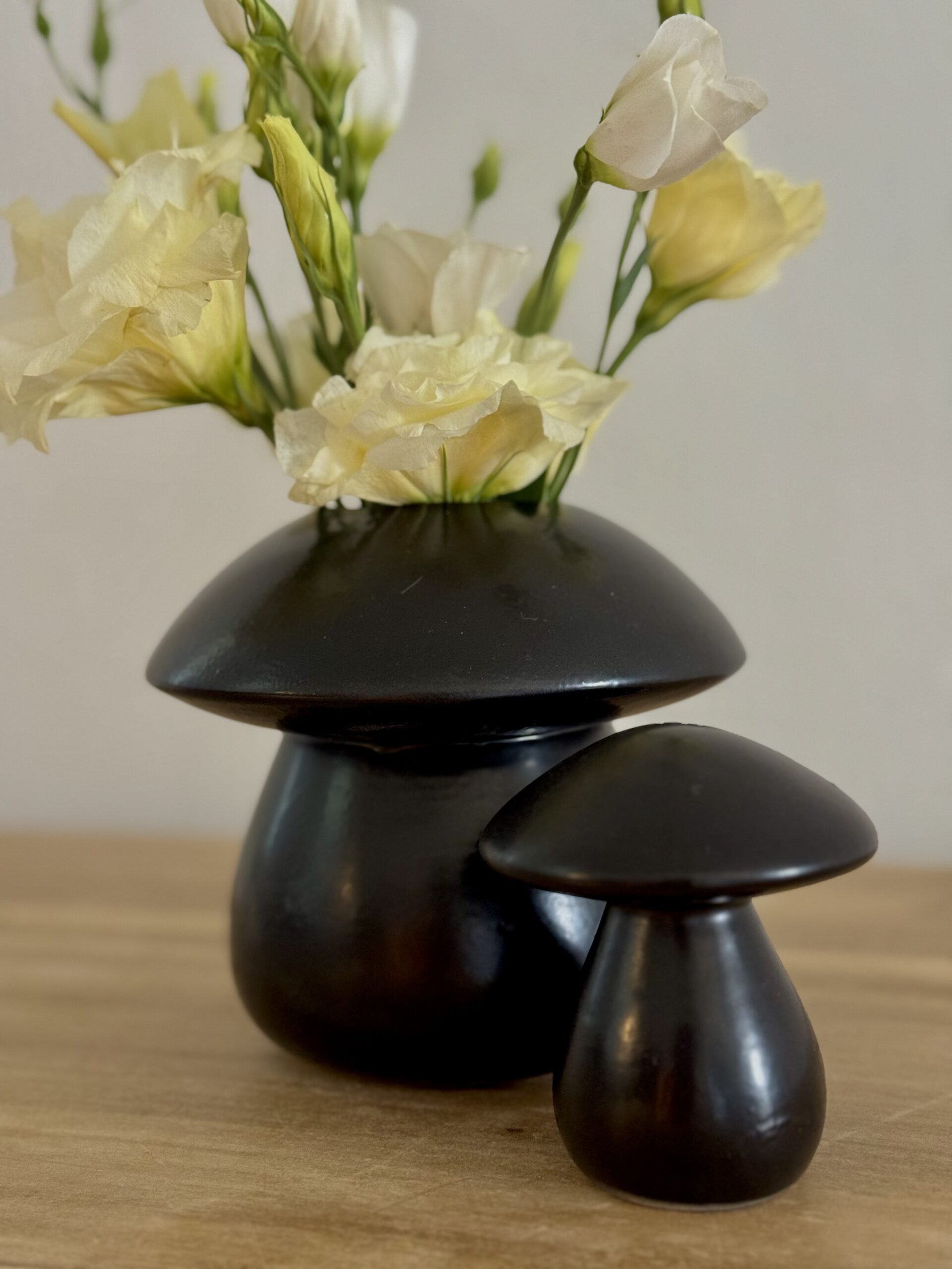 Maceta Fungi-Dúo (3 variaciones de colores) - Image 4