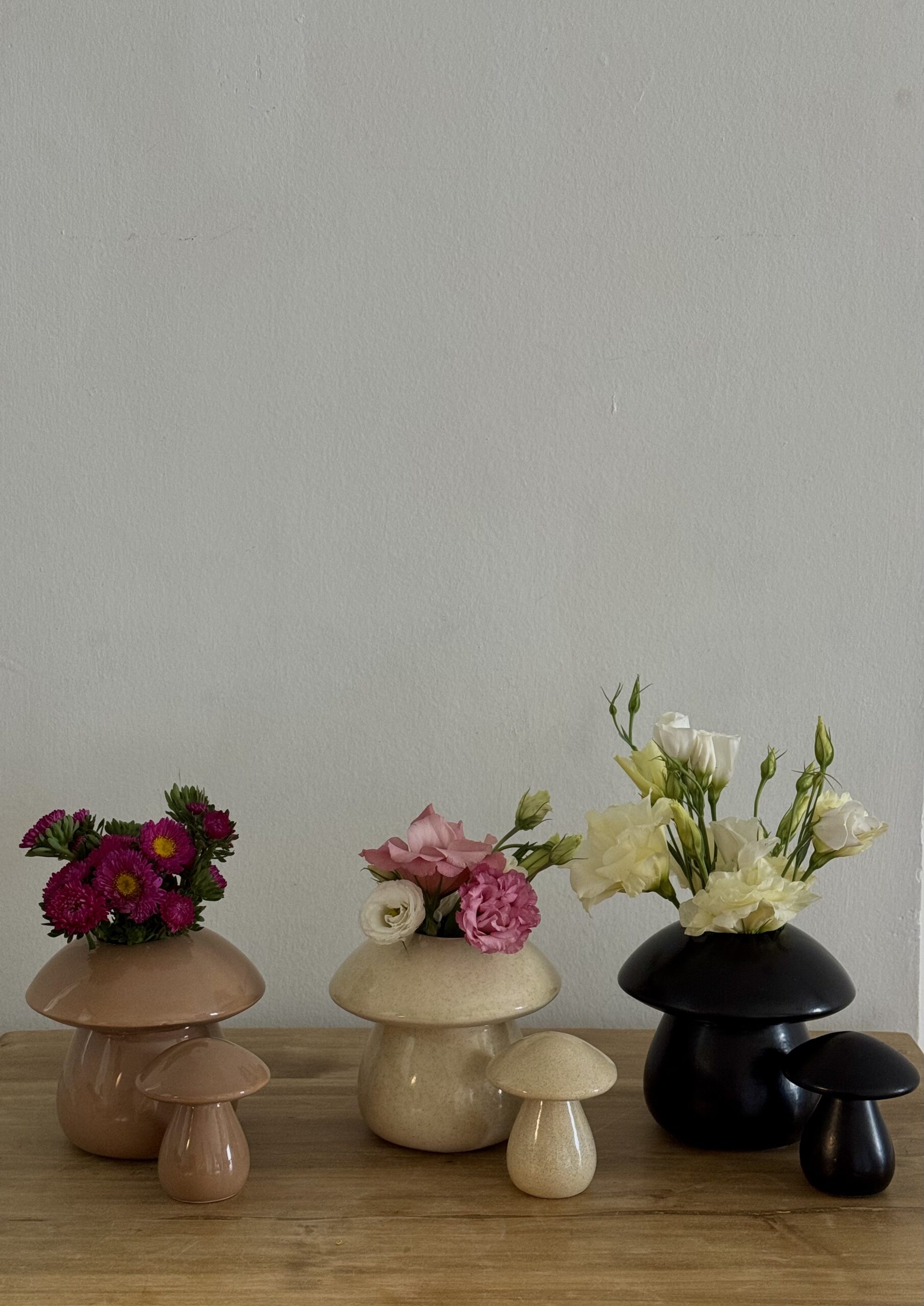 Maceta Fungi-Dúo (3 variaciones de colores) - Image 2