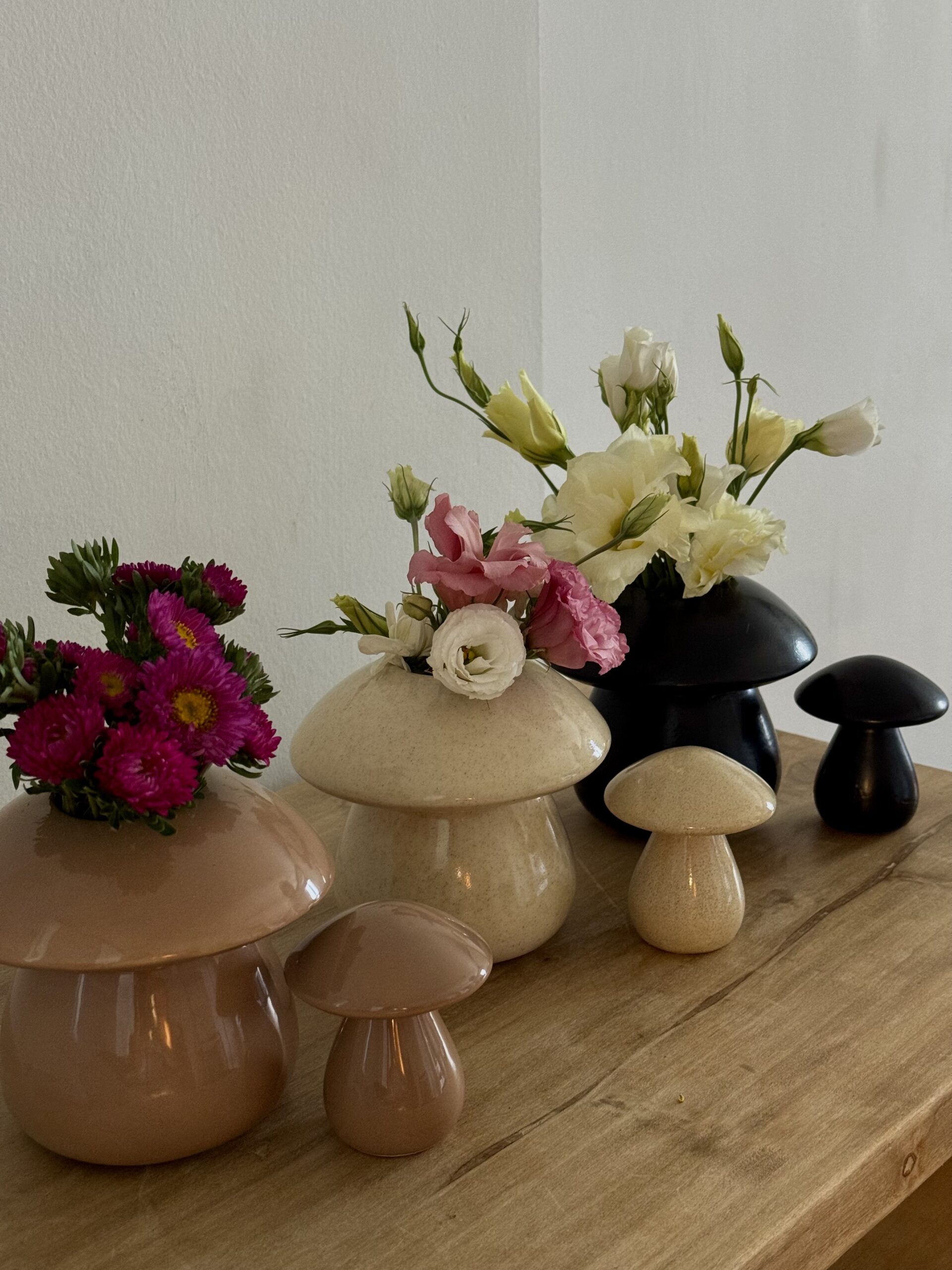 Maceta Fungi-Dúo (3 variaciones de colores)